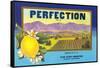 Perfectin Lemon Label-null-Framed Stretched Canvas