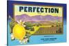 Perfectin Lemon Label-null-Stretched Canvas