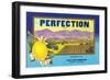 Perfectin Lemon Label-null-Framed Art Print