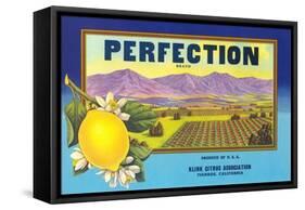 Perfectin Lemon Label-null-Framed Stretched Canvas