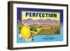 Perfectin Lemon Label-null-Framed Premium Giclee Print