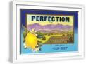 White Frame