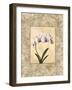 Perfection I-E. Lopez-Framed Art Print