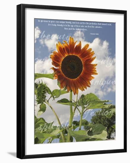 Perfection in the Eye of the Beholder-Amanda Lee Smith-Framed Photographic Print