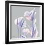 Perfectly Combined Flora 1-Albert Koetsier-Framed Art Print