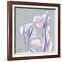 Perfectly Combined Flora 1-Albert Koetsier-Framed Art Print