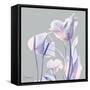 Perfectly Combined Flora 1-Albert Koetsier-Framed Stretched Canvas