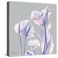 Perfectly Combined Flora 1-Albert Koetsier-Stretched Canvas