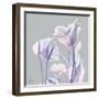 Perfectly Combined Flora 1-Albert Koetsier-Framed Art Print