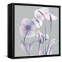 Perfectly Combined Flora 2-Albert Koetsier-Framed Stretched Canvas