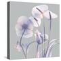 Perfectly Combined Flora 2-Albert Koetsier-Stretched Canvas