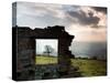 Perfectly Framed-Craig Roberts-Stretched Canvas