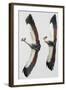 Perfectly in Sync-Staffan Widstrand-Framed Giclee Print