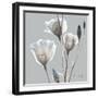 Perfectly Pale Gentian 1-Albert Koetsier-Framed Art Print