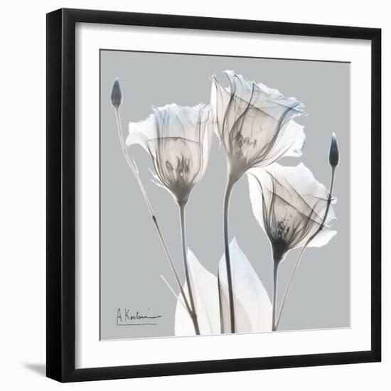 Perfectly Pale Gentian 2-Albert Koetsier-Framed Art Print