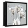 Perfectly Pale Gentian 2-Albert Koetsier-Framed Stretched Canvas