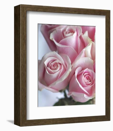 Perfectly Pink I-Monika Burkhart-Framed Photo