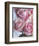 Perfectly Pink I-Monika Burkhart-Framed Photo