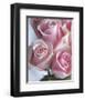 Perfectly Pink I-Monika Burkhart-Framed Photo