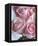Perfectly Pink I-Monika Burkhart-Framed Stretched Canvas