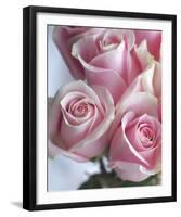 Perfectly Pink I-Monika Burkhart-Framed Photo