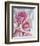 Perfectly Pink II-Monika Burkhart-Framed Photo