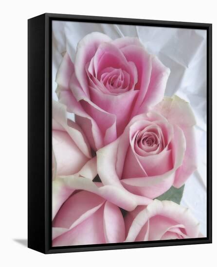 Perfectly Pink II-Monika Burkhart-Framed Stretched Canvas