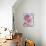 Perfectly Pink II-Monika Burkhart-Stretched Canvas displayed on a wall