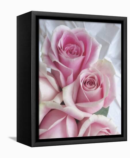 Perfectly Pink II-Monika Burkhart-Framed Stretched Canvas