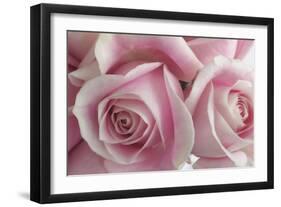 Perfectly Pink IV-Monika Burkhart-Framed Photo