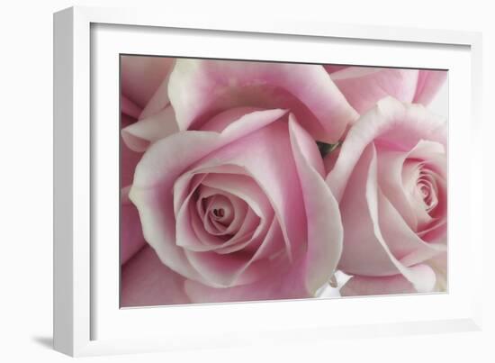 Perfectly Pink IV-Monika Burkhart-Framed Photo