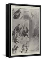 Performances at the London Hippodrome-G.S. Amato-Framed Stretched Canvas