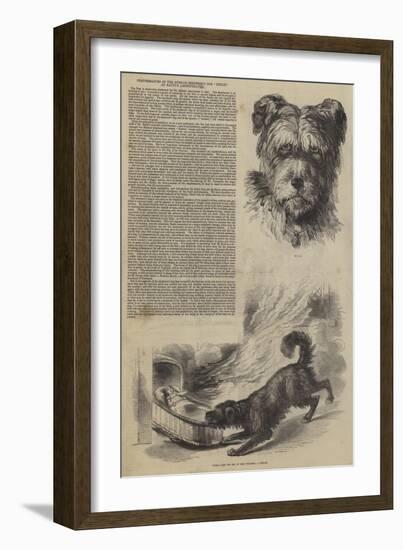 Performances of the Russian Shepherd's Dog Emilie, at Batty's Amphitheatre-null-Framed Giclee Print