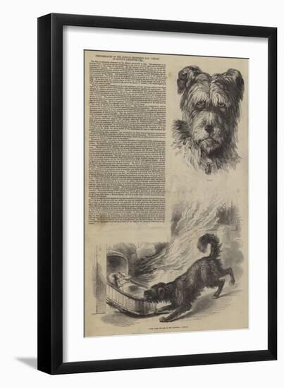 Performances of the Russian Shepherd's Dog Emilie, at Batty's Amphitheatre-null-Framed Giclee Print