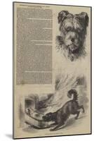 Performances of the Russian Shepherd's Dog Emilie, at Batty's Amphitheatre-null-Mounted Giclee Print