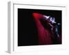 Performer on Stage at Microphone-Phil Sharp-Framed Photographic Print