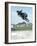 Performing a Bicycle Stunt-null-Framed Photographic Print