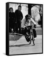 Performing Chimpanzee Zippy Riding a Bike-null-Framed Stretched Canvas