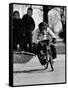 Performing Chimpanzee Zippy Riding a Bike-null-Framed Stretched Canvas