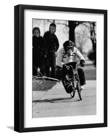 Premium Photographic Print, , large