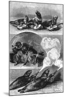 Performing Seals at a Circus, C. 1890-null-Mounted Premium Giclee Print