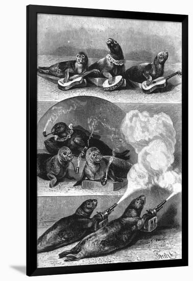 Performing Seals at a Circus, C. 1890-null-Framed Art Print