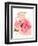 Perfume Bloom II-Annie Warren-Framed Art Print