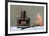 Perfume Bottle and Carnation, 2009-James Gillick-Framed Giclee Print