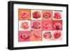 Perfume of Roses-Anna Flores-Framed Art Print