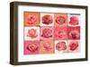 Perfume of Roses-Anna Flores-Framed Art Print