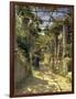 Pergola Harvest-Peder Monsted-Framed Giclee Print