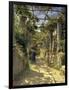 Pergola Harvest-Peder Monsted-Framed Giclee Print