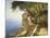 Pergola In Amalfi-Carl Frederic Aagaard-Mounted Giclee Print