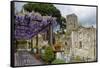 Pergola with Blooming Wisteria, Ravello, Italy-George Oze-Framed Stretched Canvas